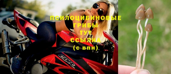 стафф Абинск