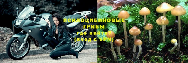 стафф Абинск