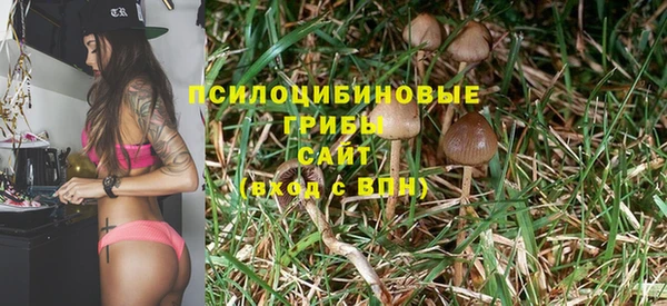 стафф Абинск