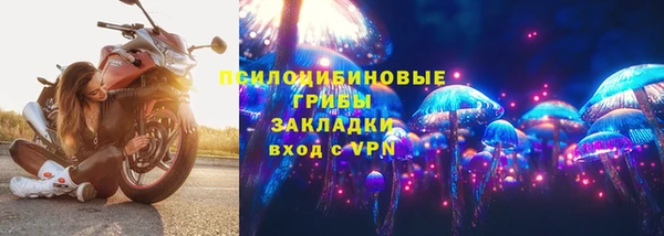 бошки Абаза